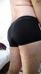 Zebs19Public图片 2