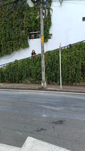 hancock-boa summer where to start? Bilde 9