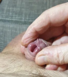 pullerwichsi Pullerchen Hình 2