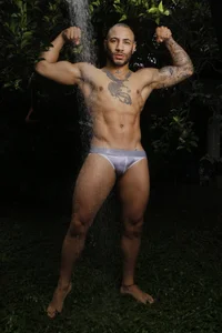 Fenix od AronFenixx  8 snímek