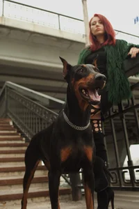 MissBeverlyMills Do you want to be in his place? Pic