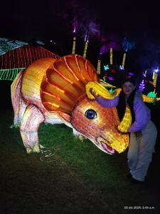 Sofi_cutiee I went to see lights and I want to share it with you 🌸🌲 Pic 3