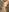Porncorn's photo