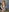 Msgeeuk's photo