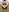 Hideen-real-face's photo