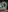 OkiMie's photo