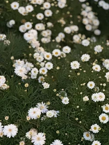 Lush-Office kullanıcısının Public albümü -  4 fotoğraf