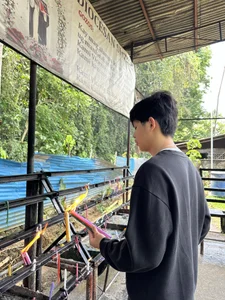 Serendipity_777 Public  9টি ছবি