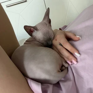 nancy_chancy 🐱 meet Yasya 🐱 зображення 2