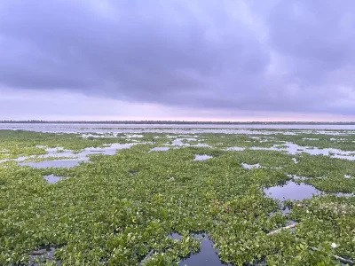 Karolina_1 Barranquilla (Colombia) Fotka 3