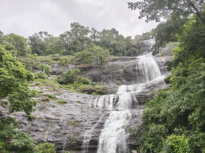 Tamil-Malayalam-Dream's photo