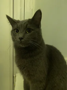 Public od ShadowEve  9 snímek