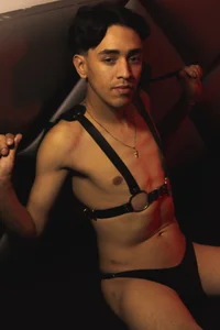 Mick-lollipopのSkin and Shadows 🌓Suitの 2枚の写真