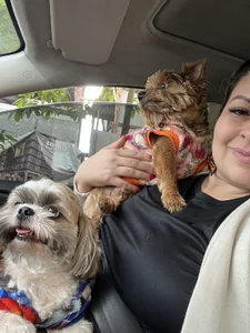 My big dream .. to have my little house ❤️🏠 de Miss_Pawi Foto 7