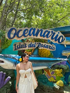 zui_lu kullanıcısının 🐚🌺🧡☀️ albümü -  8 fotoğraf