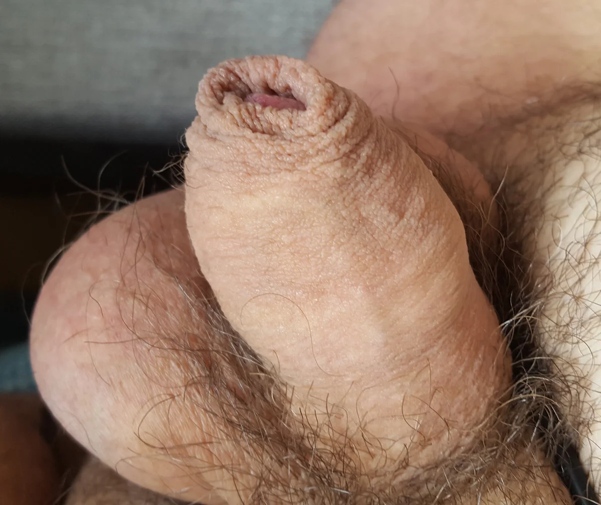 onkelgrau65 님의 트렌드 중인 사진  3260개