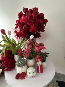 Chipu_babe Love 🌹 🌺 🌷 Kuva 3