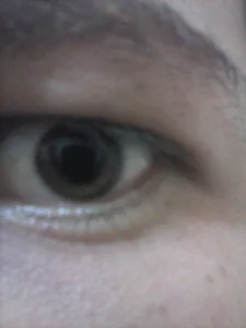 theDemente18nomas por mientras图片