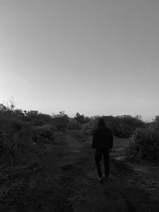 phenix1x Public Billede 4