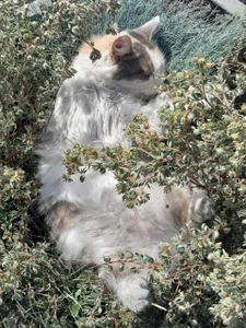 mona_cloud some photos from vacation 🥰😎 圖片