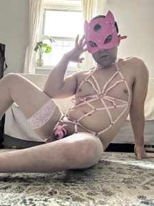 PupKenjiPink Kitty Bild 7