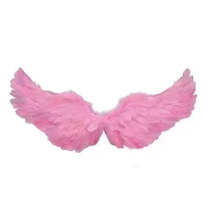 jiayao1999 我有的道具，你们可以私信我定制你喜欢的专属内容  6টি ছবি