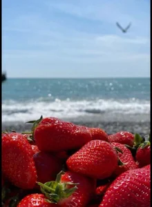 OurLove88 Vacation...Summer Vibes.. slika 8