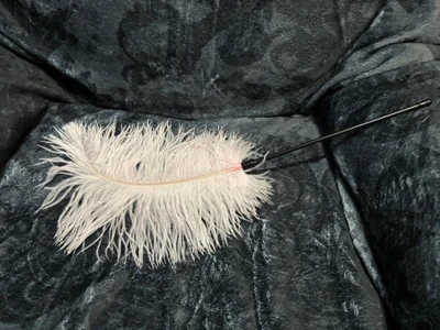 KaydenGray Ostrich feather slika