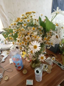 Silly__Milly a shop I work on with my donators, who I love dearly Immagine  2