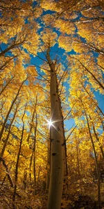 ZJQ-sssの看看风景の 5枚の写真