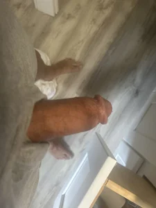 hornysexlover70 Public Immagine  9