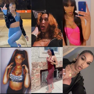 TsGeminii Public Bilde