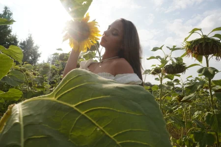 Scout_Avrora's photos