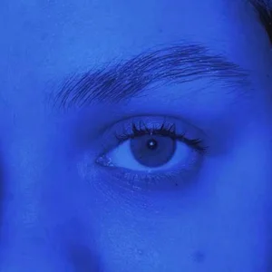 PurrfectPlayPublic图片