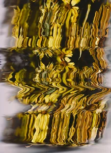 sorry-mom69 the history of flowers Foto 6