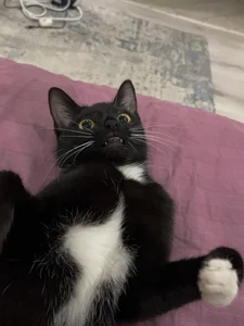 red__dizzy just beautiful photos Pic 9