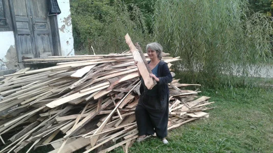 ExquisiteMature Firewood Hình 6