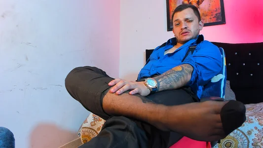 tonny_pride: socks horneys ( фото)