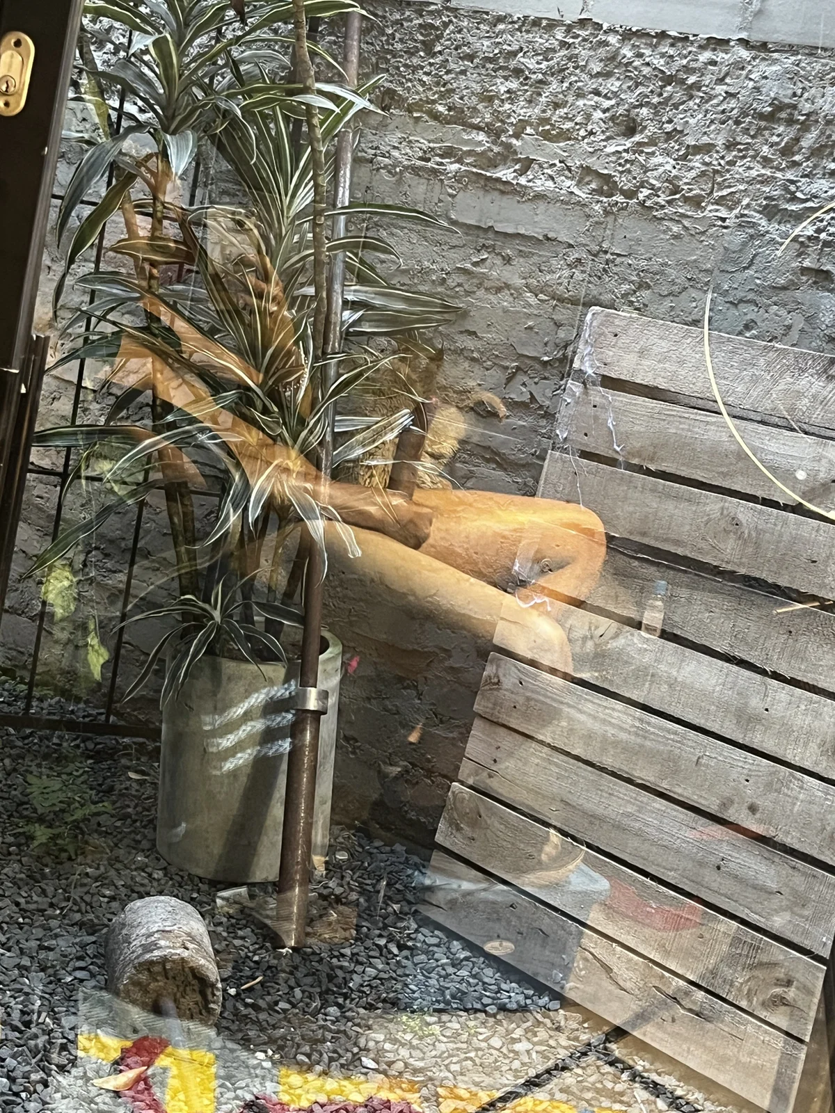 ItsZairen Trending Plaatje 6071