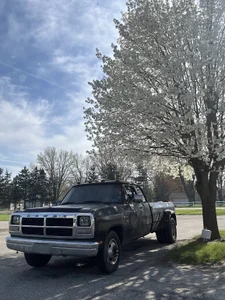 BlondePawg: Public ( 5 фото)