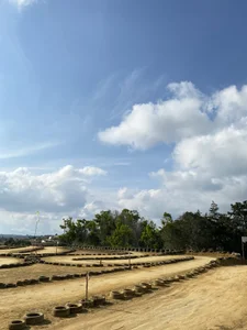 sara_gwen A little bit of my life offline 圖片 5