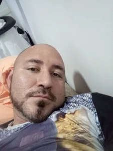 Osobrandon567 Oso Immagine  2