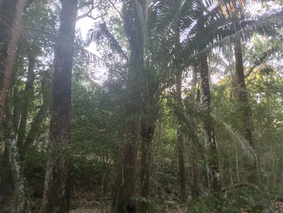 ChloeSanchezxReserva "el Tambor" Bild