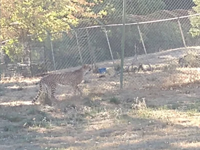 Evalain_shadow My Travels ✌️ Pic 8