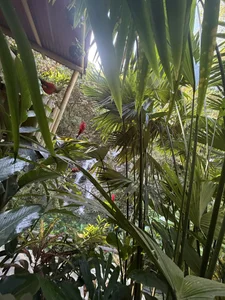 orianasweet_1 Nature! 圖片 4