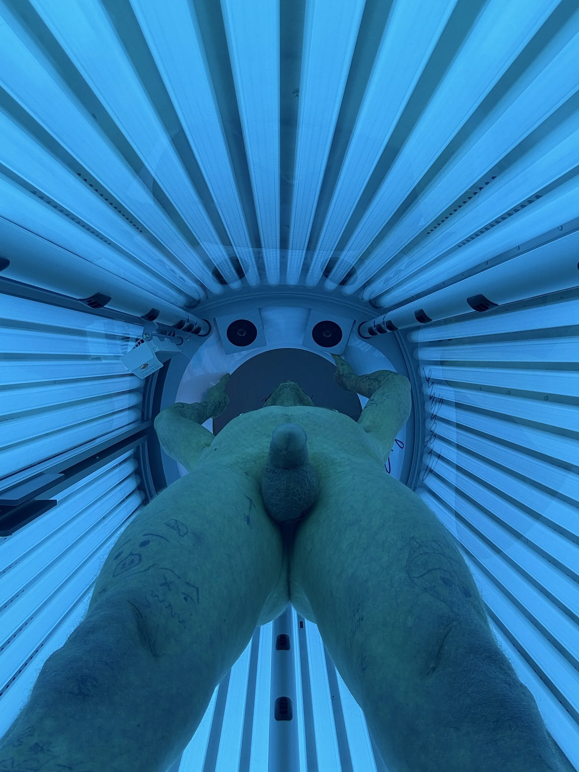 Holden-Cock Public Bilde 3