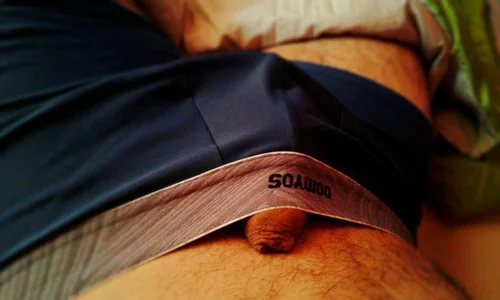 DadBearBi Public Foto 2