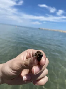 CelesteBailey At the Sea🌊 Immagine  2