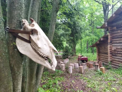 wood <3 de Neko_Kimiko  3 Imagens