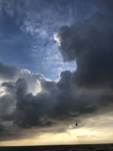 1st de RikuYarimoku  Imagens